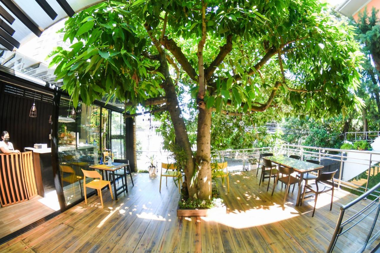 Kaleo Hotel Boutique San Salvador Exteriör bild